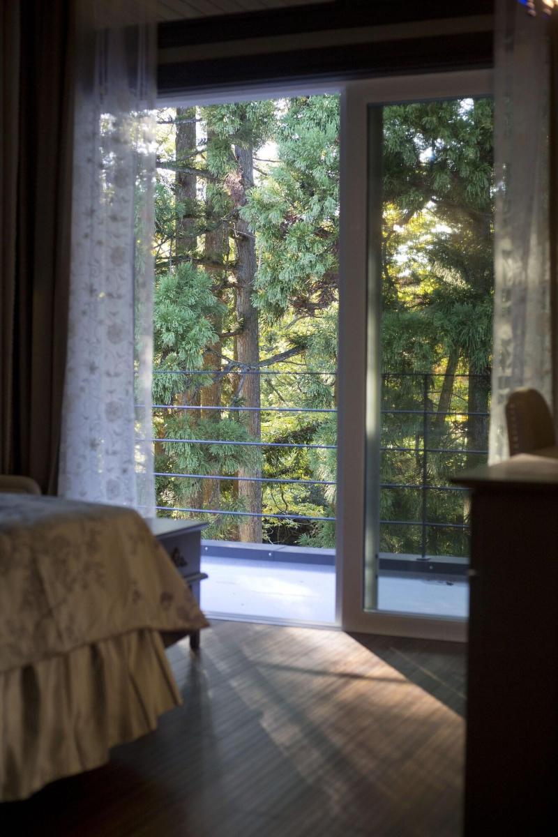 Chambre d'hôte  Étoile et fées image