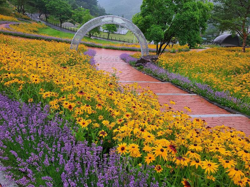 Nine Valley Park image