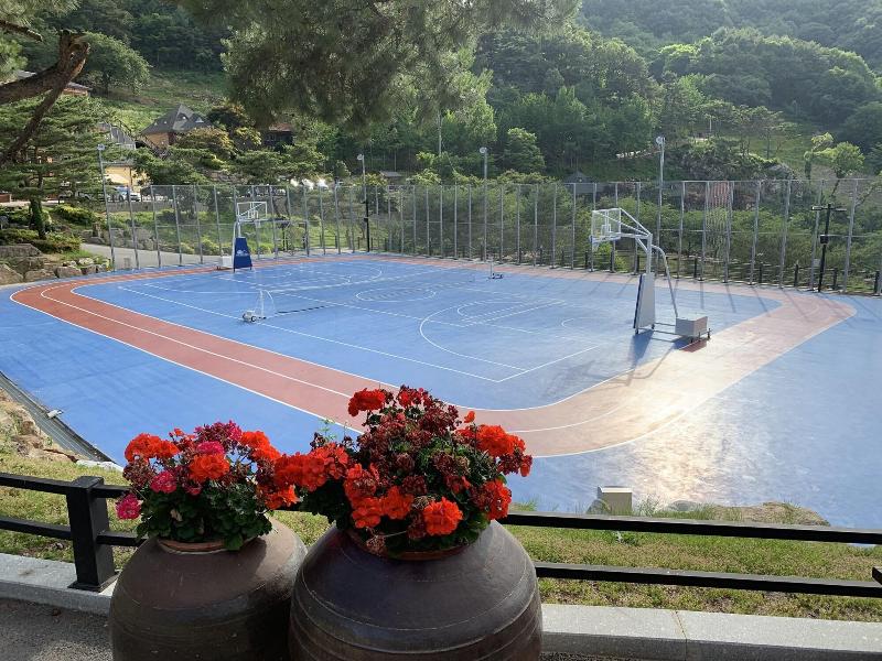 Nine Valley Park image