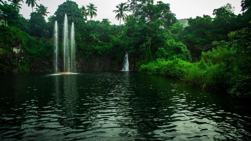 Athirapilly Green Trees image