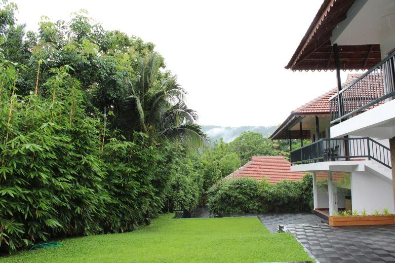 Athirapilly Green Trees image