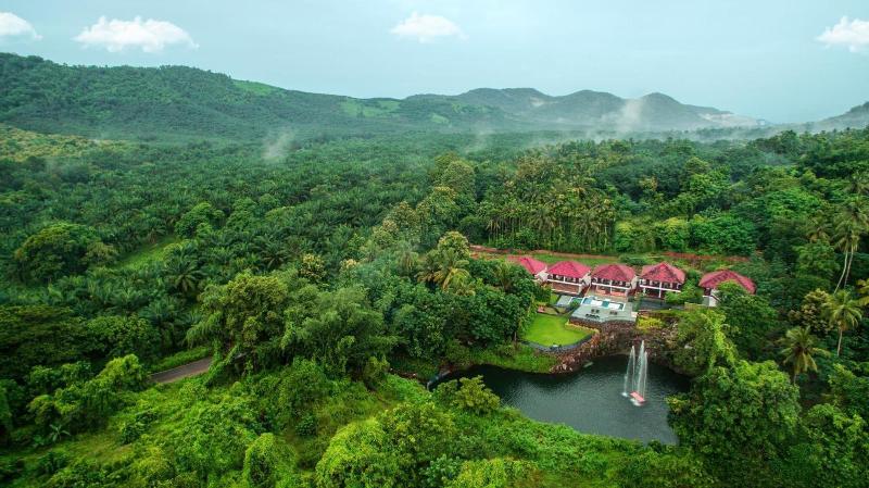 Athirapilly Green Trees image
