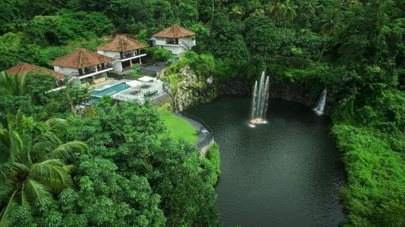 Athirapilly Green Trees image