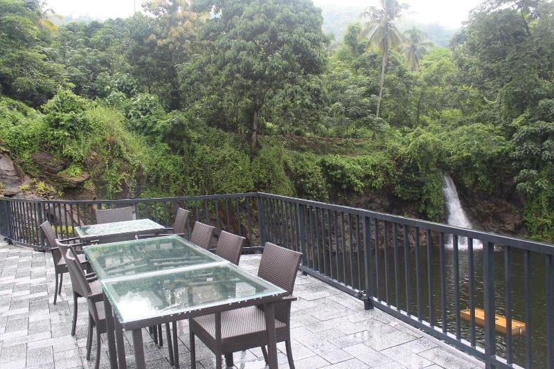 Athirapilly Green Trees image