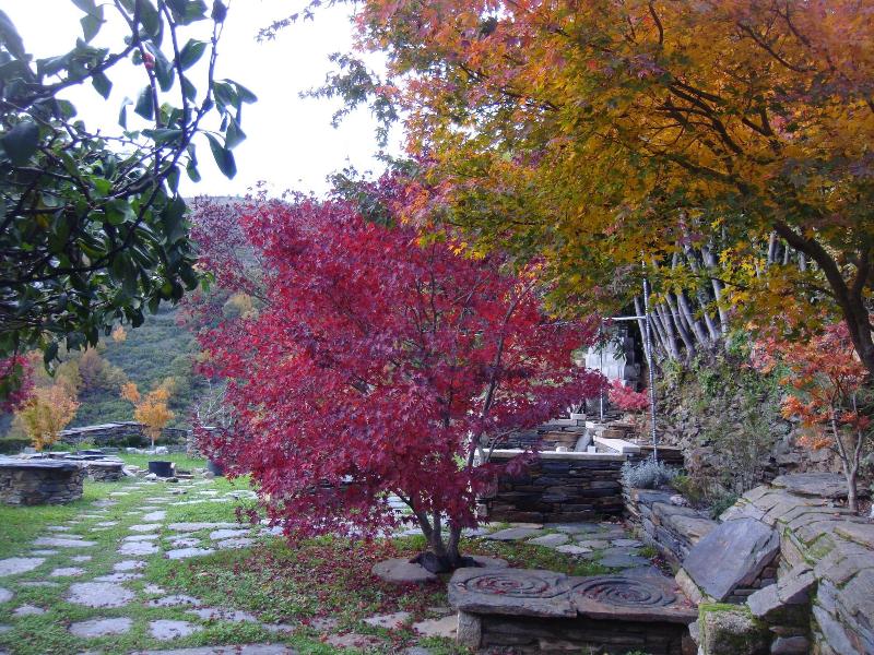 Casa O Crego image