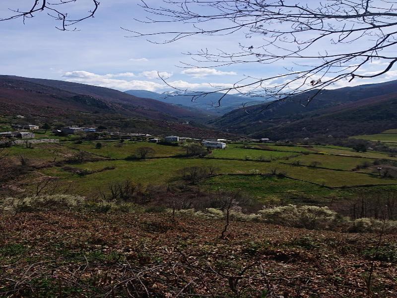 Casa O Crego image