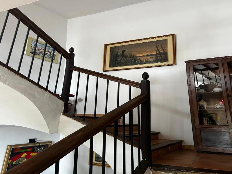 El Olivo De Sansol image