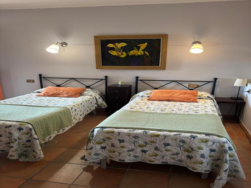 El Olivo De Sansol image