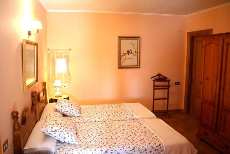 El Olivo De Sansol image