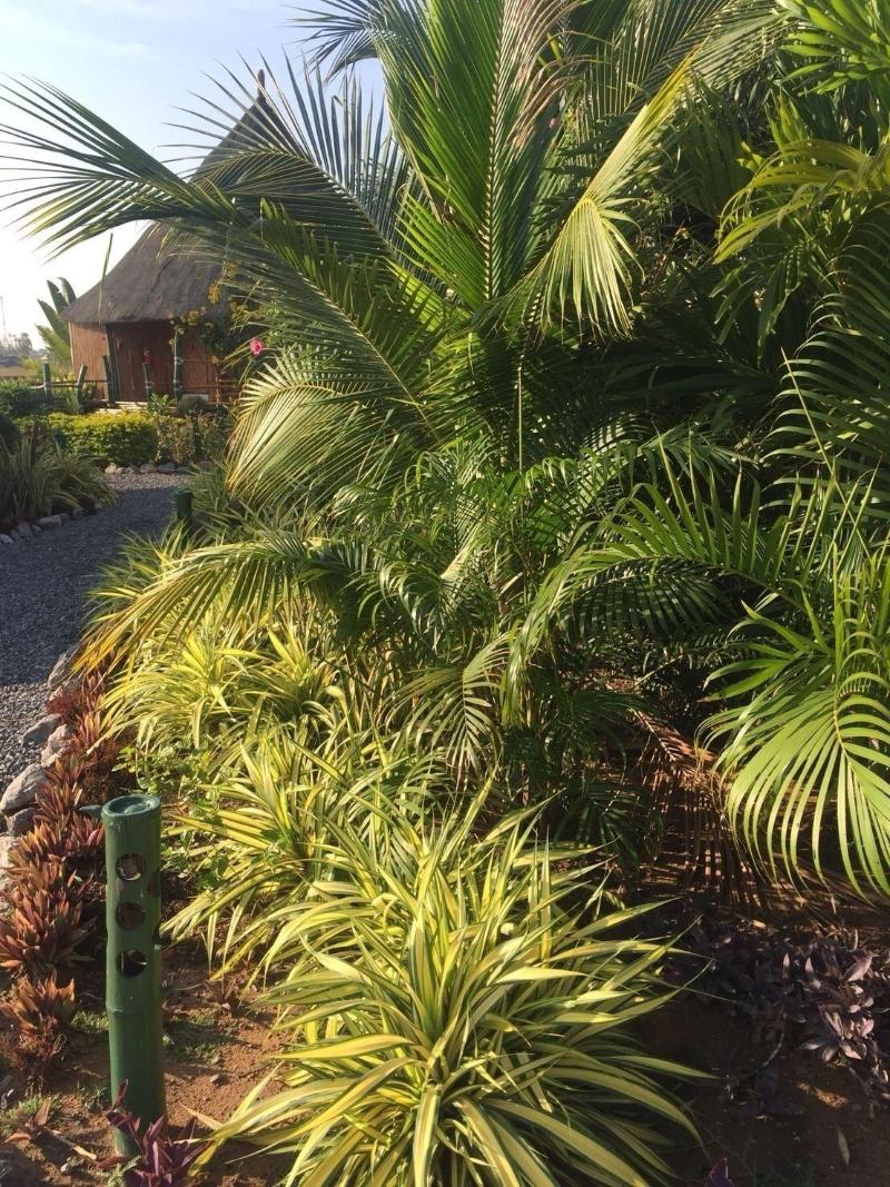 The Orchid Resort & Relax image