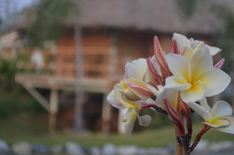 The Orchid Resort & Relax image