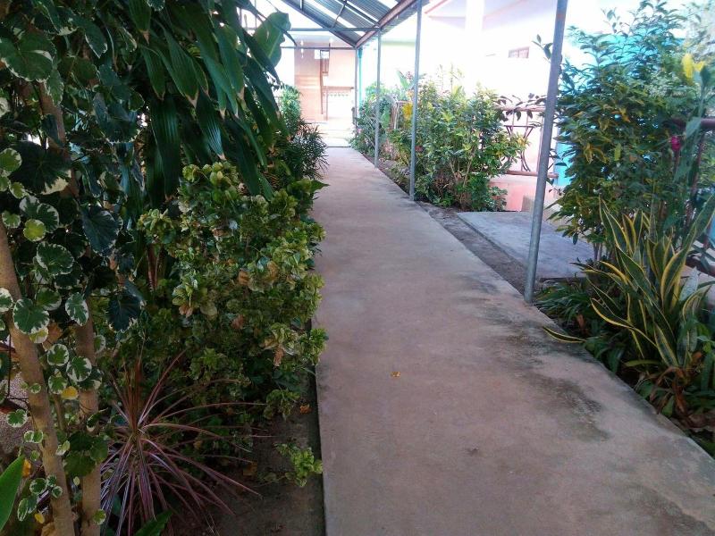 Peace Pool Resort
