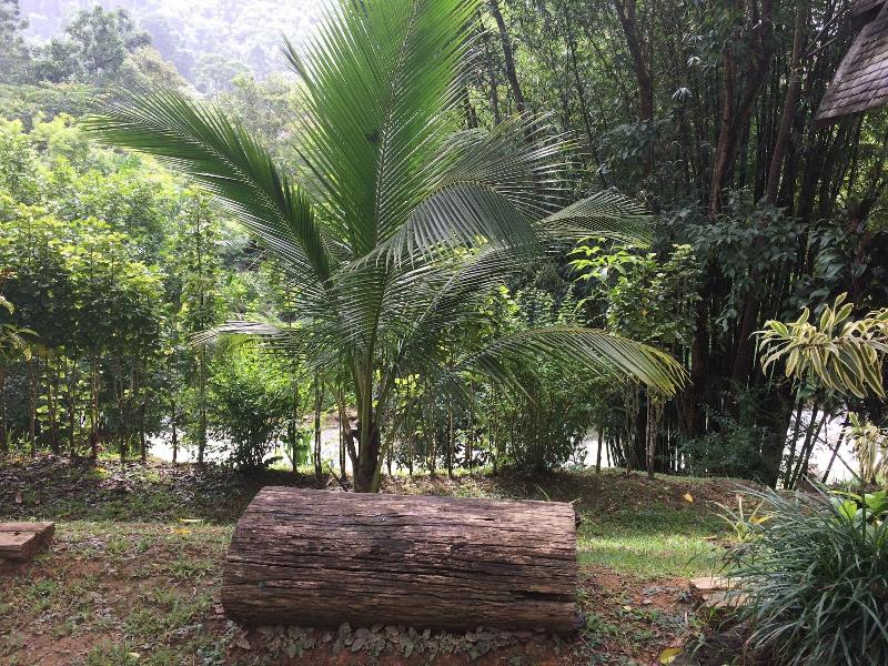 Thipthara Adventure Camp image