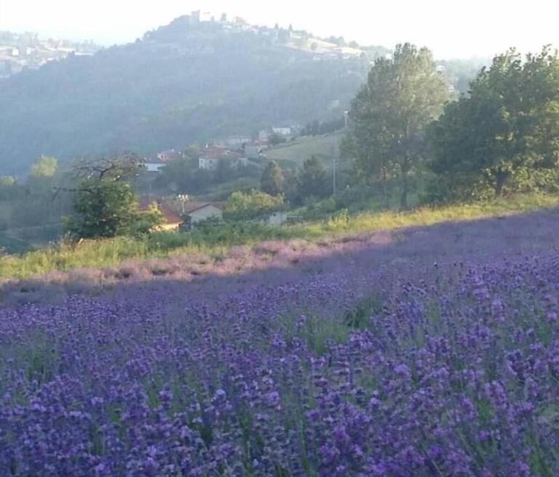 Locanda Del Borgo image