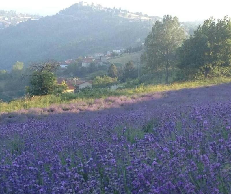 Locanda Del Borgo image
