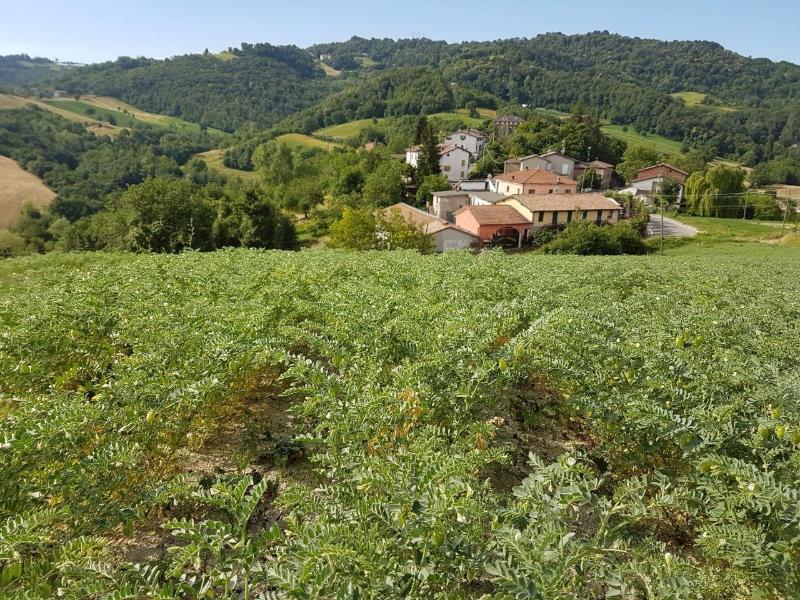 Agriturismo Di Sordiglio image