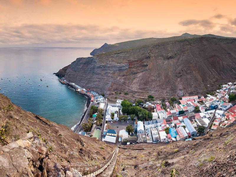Mantis St Helena image