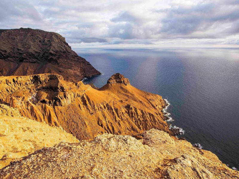 Mantis St Helena image