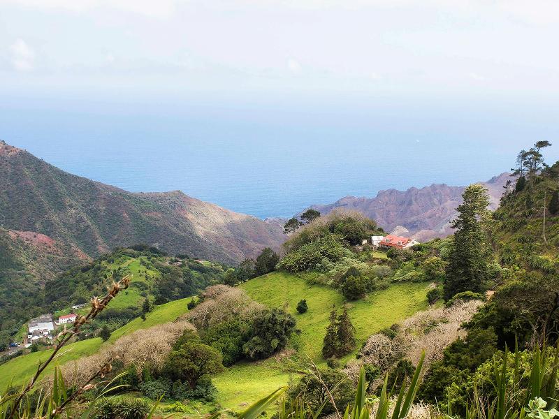 Mantis St Helena image