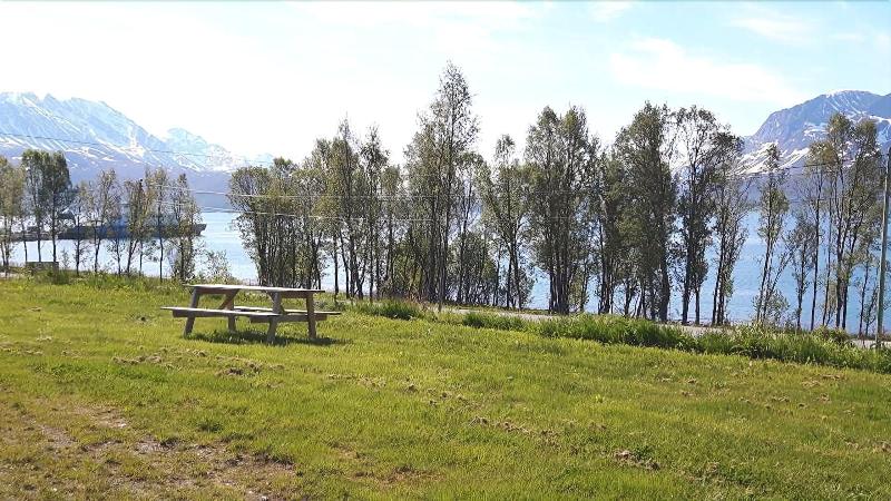 Svensby Tursenter image