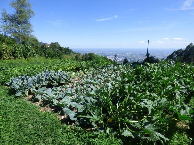 Damarco Alloggio Turistico Locanda image