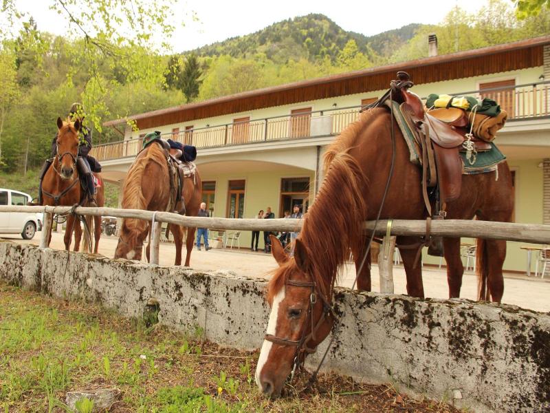 Damarco Alloggio Turistico Locanda image