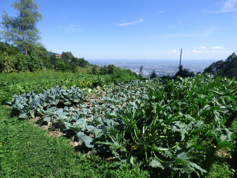 Damarco Alloggio Turistico Locanda image