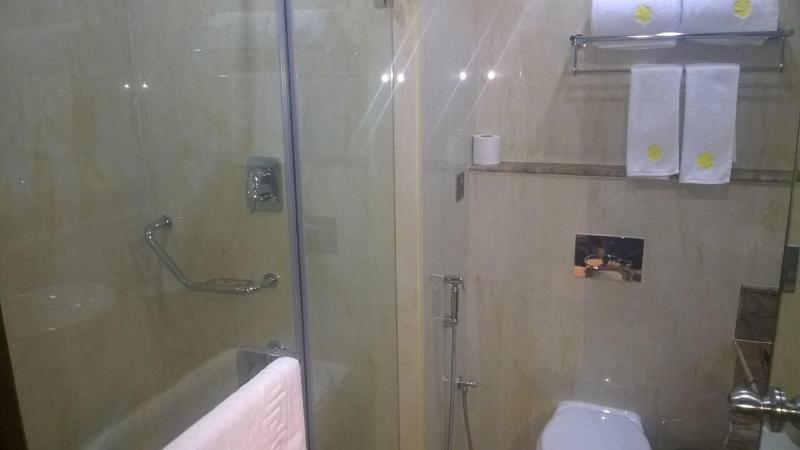 Hotel Himalayaa image
