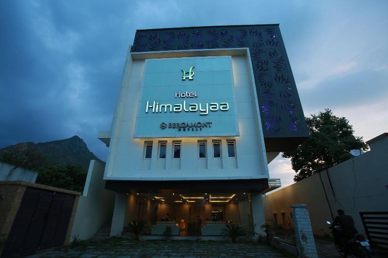 Hotel Himalayaa image 9