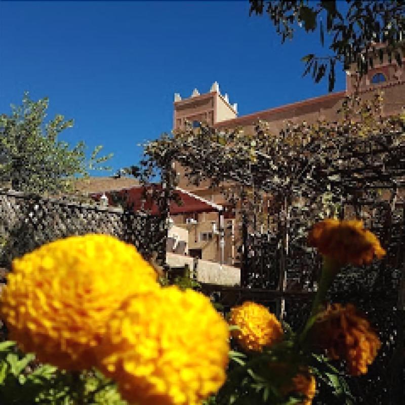 Auberge Restaurant Le Safran Taliouine — general view