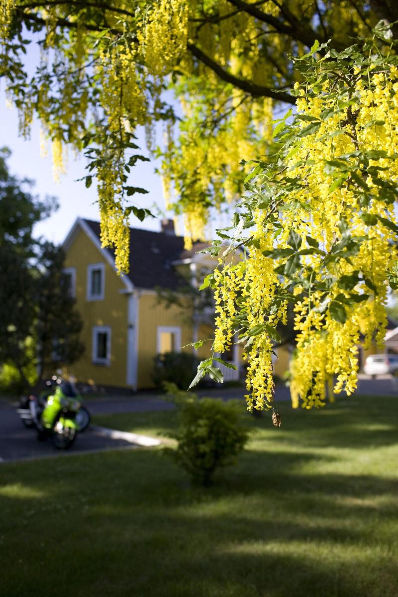 Björkhaga Hotell & Konferens image