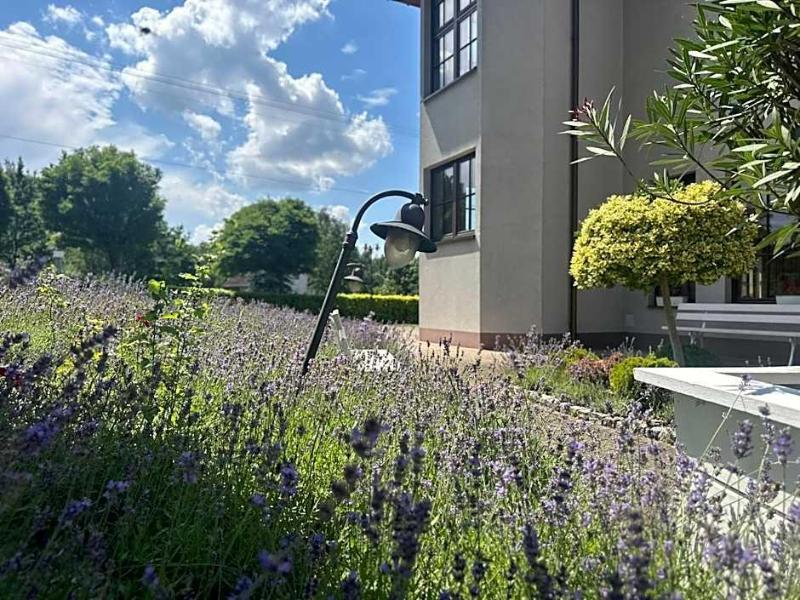 Hotel Dudek image