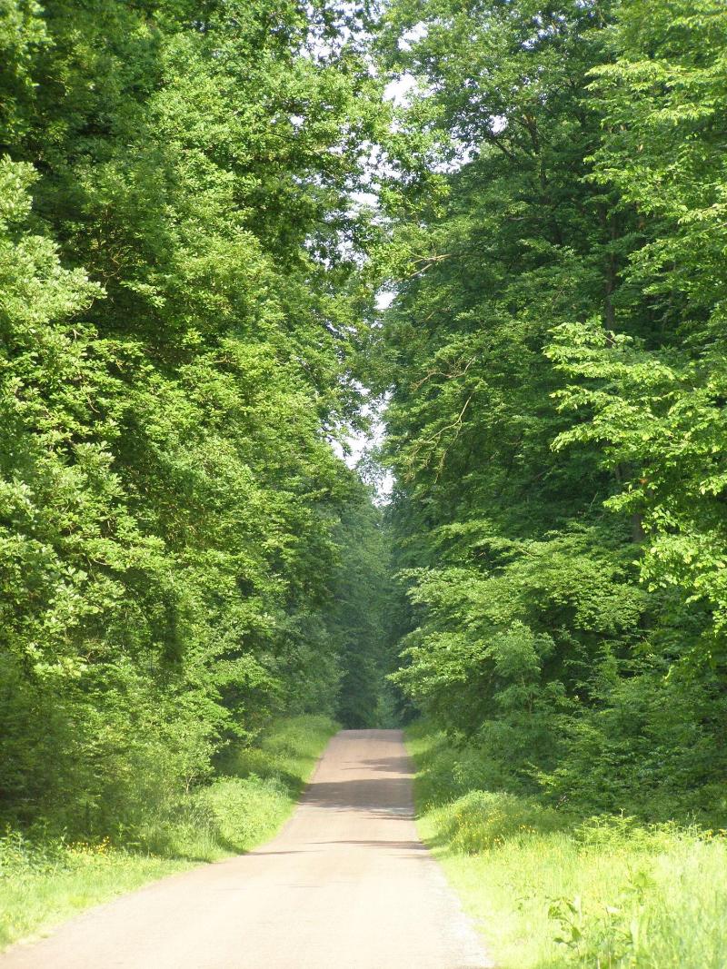 Manoir Du Plessis Au Bois image