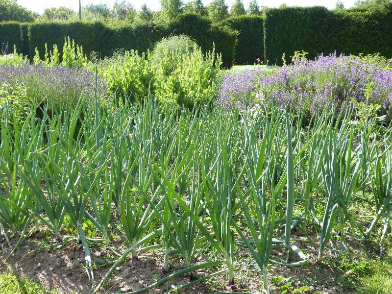Manoir Du Plessis Au Bois image