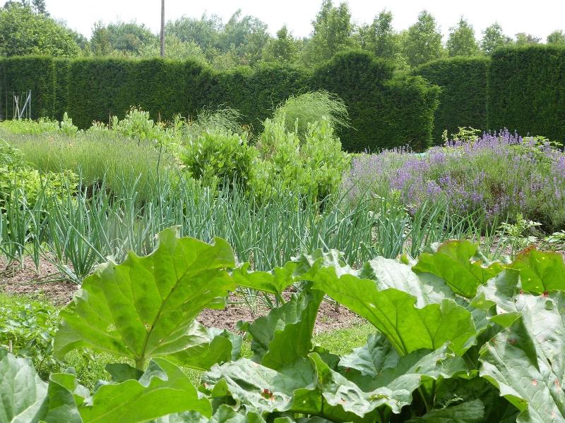 Manoir Du Plessis Au Bois image