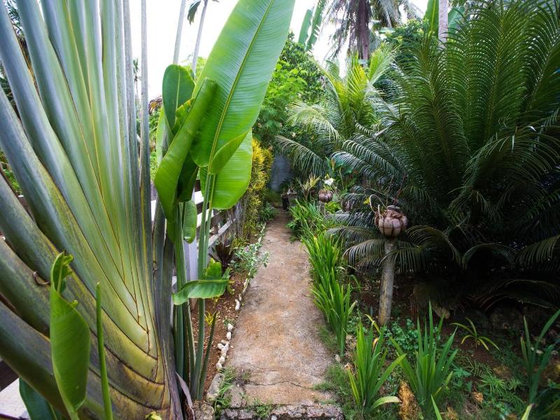 Isla Haruhay Homestay - Hostel