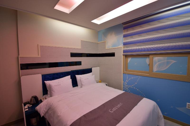 Cats Hotel image