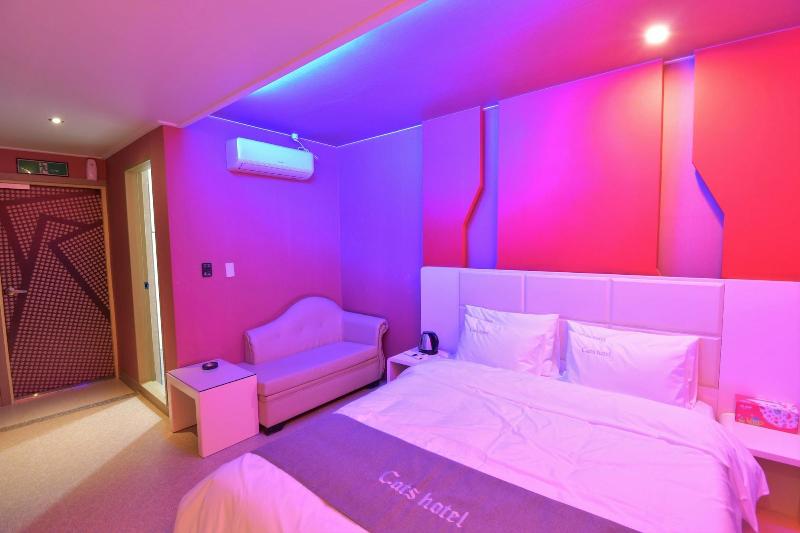 Cats Hotel image