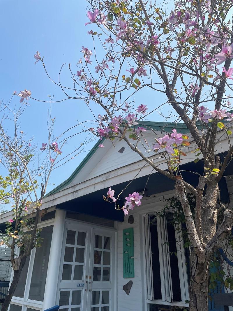 LanJen Villa B&B image