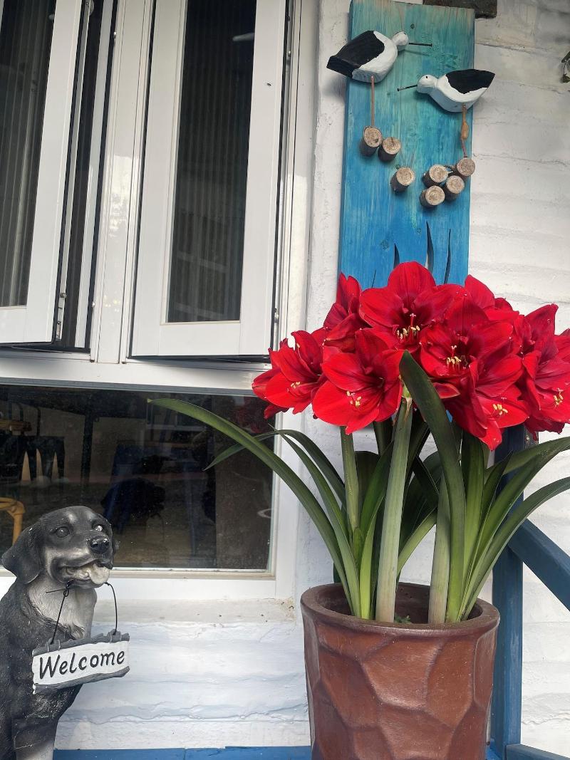 LanJen Villa B&B image