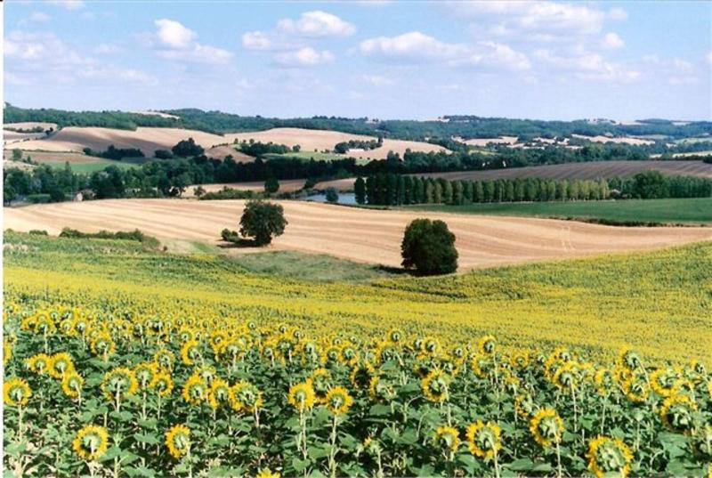 Les Celtes De Gascogne image