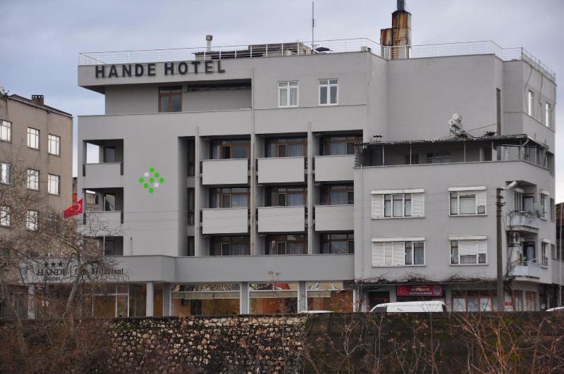 Hande Hotel — general view