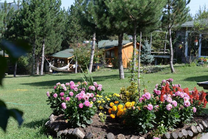 Nesilce Tatil Koyu, Mengen