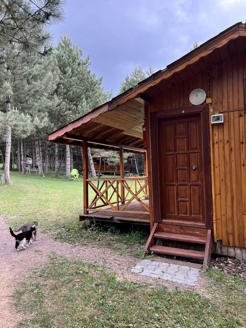 Nesilce Tatil Koyu