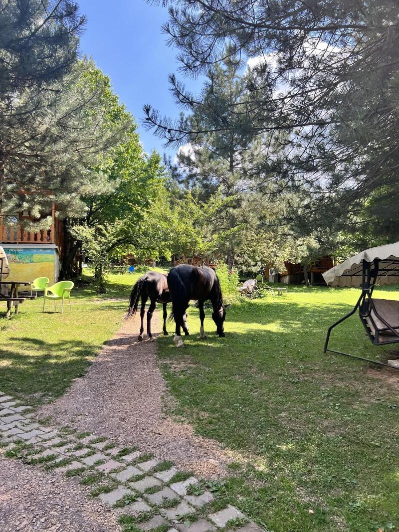 Nesilce Tatil Koyu