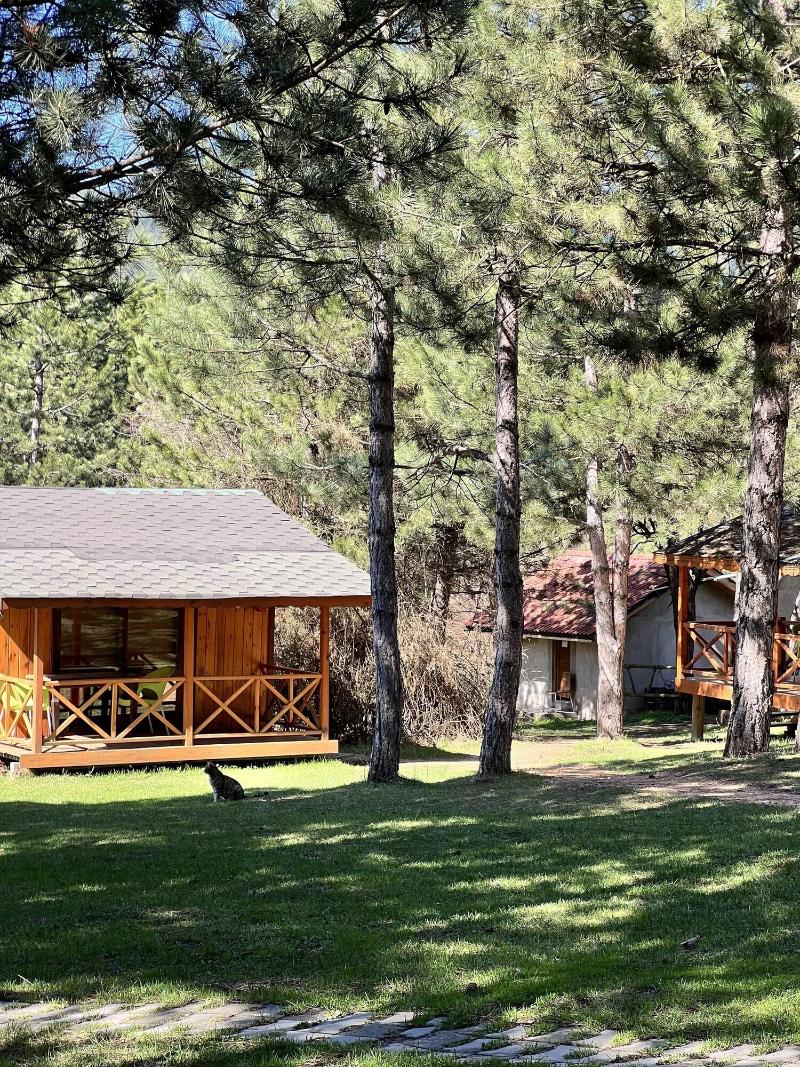 Nesilce Tatil Koyu