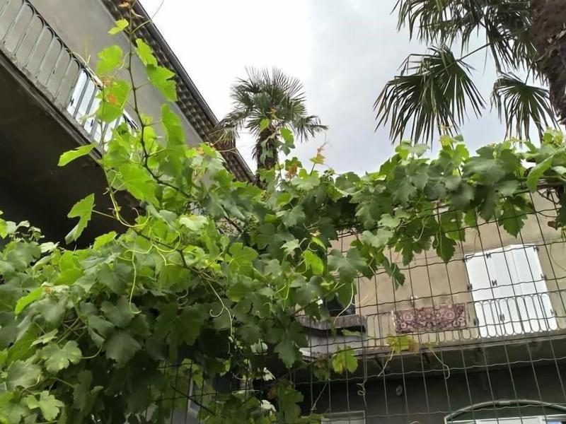 Maison Jaffran - Suite en Ville image