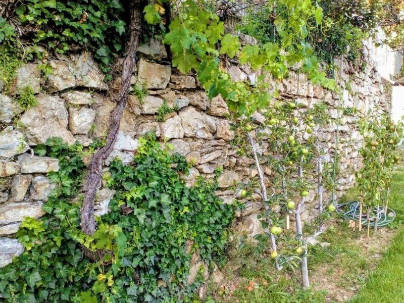 Maison Jaffran - Suite en Ville image