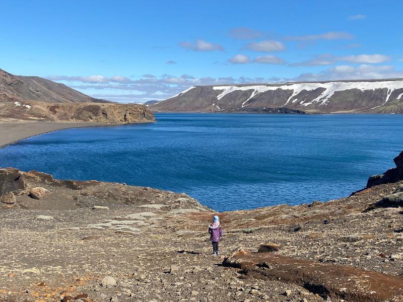 Arctic Wind image
