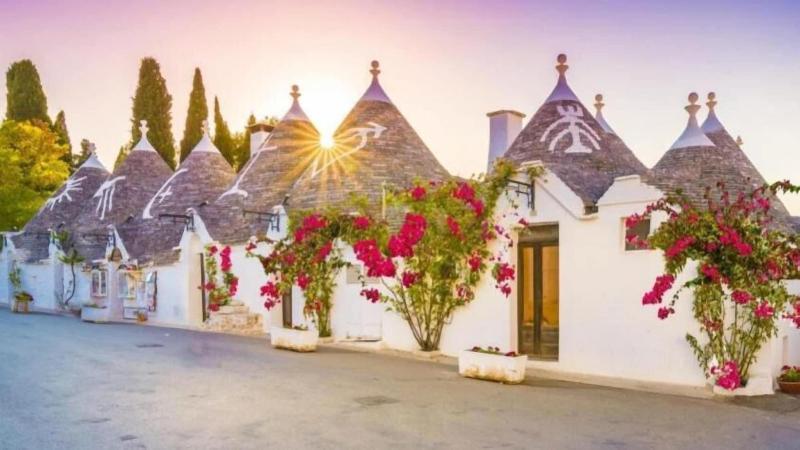 B&B Panaro image